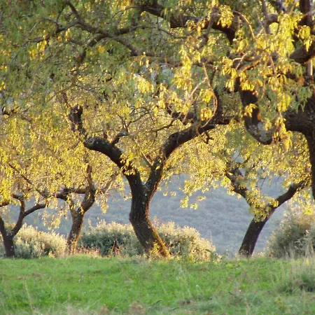 La Teulera Tatil Evi Ager