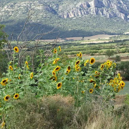 Holiday home La Teulera Ager