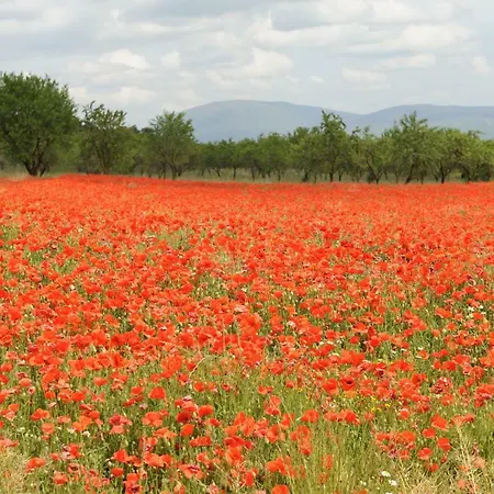 Holiday home La Teulera Ager